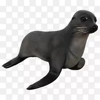 澳大利亚海狮自然工场-玻璃纤维雕塑,水生动物雕像,毛皮海豹-海豹-空若网 澳大利亚海狮自然工场-玻璃纤维雕塑,水生动物雕像,毛皮海豹-海豹-空若网