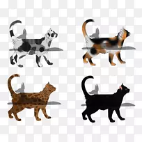 猫科动物野生动物尾巴动物-猫-空若网 猫科动物野生动物尾巴动物-猫-空若网