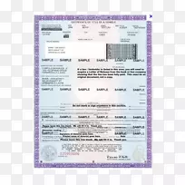 �������ƴ�������-����-������