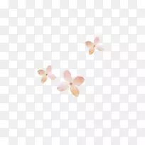 耳环体珠宝粉红色m首饰-空若网 耳环体珠宝粉红色m首饰-空若网