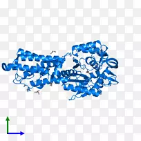 ��Ʒ��ͼ�ε�����-tRNA-������