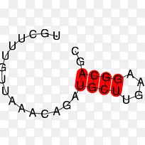 剪贴画插图爱情手镯png图片.生物科学-空若网 剪贴画插图爱情手镯png图片.生物科学-空若网
