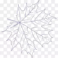 枫叶/米/02csf画对称线艺术.秋叶颜色-空若网 枫叶/米/02csf画对称线艺术.秋叶颜色-空若网