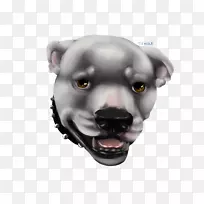 ��Ȯñ-������