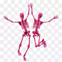 头骨人体骨骼-剪贴画-头骨-空若网 头骨人体骨骼-剪贴画-头骨-空若网