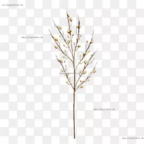 ��Ҷֲ�ﾥ��-�������-������