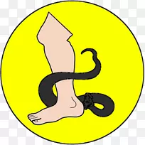 �²�����̩����˹̩�����˹���������߹�ķ���-�����-������