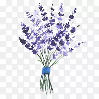 英国薰衣草水彩画剪贴画形象绘画-空若网 英国薰衣草水彩画剪贴画形象绘画-空若网