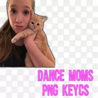 小猫须产品手指照片-小猫-空若网 小猫须产品手指照片-小猫-空若网