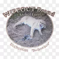 大型猫科动物野生动物图片-龙虾陷阱-空若网 大型猫科动物野生动物图片-龙虾陷阱-空若网