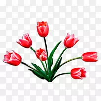 ������������ͼ��-������