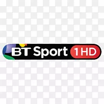 品牌标志产品设计-bt运动标志-空若网 品牌标志产品设计-bt运动标志-空若网