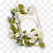 ��������л�ֲ�￪��ֲ��-������