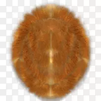 ��ë����-������