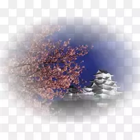 �����ֽst.au.150����v.unc.nr��ˮӣ��-ˮ-������