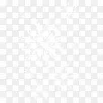 线条对称黑白点图案透明雪花图片-空若网 线条对称黑白点图案透明雪花图片-空若网