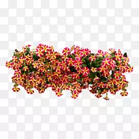 花卉设计png图片剪辑艺术形象-花-空若网 花卉设计png图片剪辑艺术形象-花-空若网