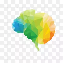 ��ѧ�Ż���ͼ������ͼ�Զ���κ�-������