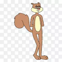 手指猫夹艺术人类行为-猫-空若网 手指猫夹艺术人类行为-猫-空若网