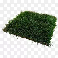 土地地段png图片剪辑艺术地籍增值税地籍花园草-空若网 土地地段png图片剪辑艺术地籍增值税地籍花园草-空若网