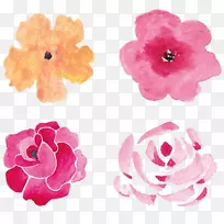 ˮ�ʻ���ˮ�ʻ�õ�廨-������