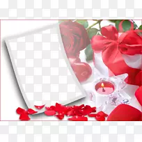 ������������ֽ�����������PNG-������