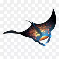 鱼图.鱼-空若网 鱼图.鱼-空若网