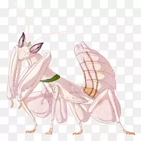 蝴蝶仙女翅膀昆虫插图-蝴蝶-空若网 蝴蝶仙女翅膀昆虫插图-蝴蝶-空若网