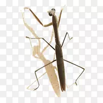 ����Ʒ��ƺ���-���Ϻ-������