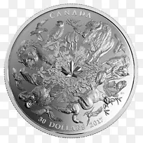 加拿大银币150周年金币-空若网 加拿大银币150周年金币-空若网