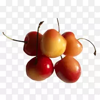 �����ӣ��ɽ�����ʳƷˮ��-ӣ��-������