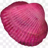 纳弗博客剪贴画-康莎-空若网 纳弗博客剪贴画-康莎-空若网