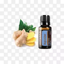 精油薄荷薰衣草油-空若网 精油薄荷薰衣草油-空若网