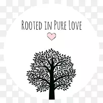 绿色山墙的安妮·雪莉读爱德华王子岛的殖民地书-空若网 绿色山墙的安妮·雪莉读爱德华王子岛的殖民地书-空若网