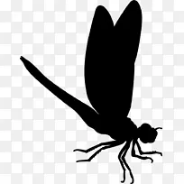 昆虫蜻蜓轮廓图像图.昆虫-空若网 昆虫蜻蜓轮廓图像图.昆虫-空若网