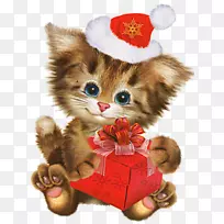 圣诞节图像剪辑艺术节日png图片.圣诞节宠物-空若网 圣诞节图像剪辑艺术节日png图片.圣诞节宠物-空若网
