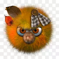 ������������ë���׵Ŀ��ȹ���-����-������