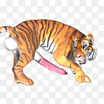 老虎猫计算机图标野生动物png图片.老虎3d-空若网 老虎猫计算机图标野生动物png图片.老虎3d-空若网