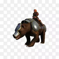 陆生动物鼻子-灰熊-空若网 陆生动物鼻子-灰熊-空若网