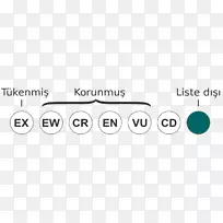 极度濒危品牌设计标志眼设计-空若网 极度濒危品牌设计标志眼设计-空若网