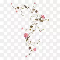 �������󿪻�ֲ���ٱ�ֲ��-������