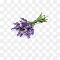 薰衣草油英国薰衣草香水精油气味-空若网 薰衣草油英国薰衣草香水精油气味-空若网