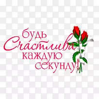 花卉设计切花情人节花-空若网 花卉设计切花情人节花-空若网