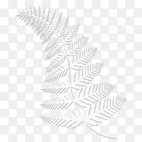 对称图案线角叶线-空若网 对称图案线角叶线-空若网