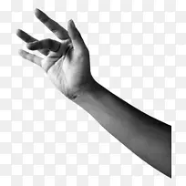 Ĵָ������ģ����������-������