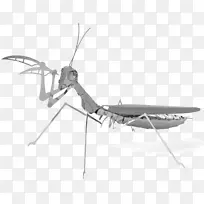 ������������������-������