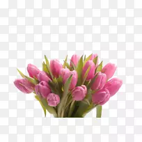 �������л�ĸ�׽ڻ���������-������