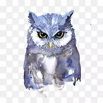 猫头鹰水彩画艺术水彩画动物水彩画-猫头鹰-空若网 猫头鹰水彩画艺术水彩画动物水彩画-猫头鹰-空若网