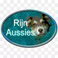 ��������Ȯ-������