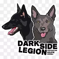 澳洲雪橇雪碧福尔摩沙山犬昆明狼狗品种-空若网 澳洲雪橇雪碧福尔摩沙山犬昆明狼狗品种-空若网